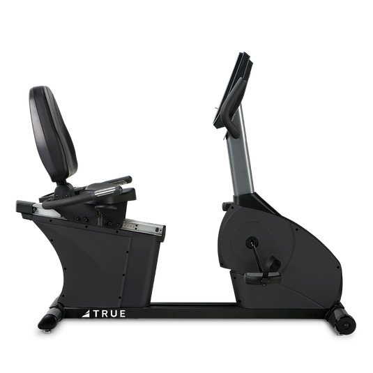 True Fitness 200 Recumbent Bike