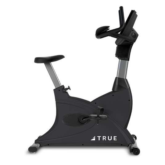 True Fitness 200 Upright Bike