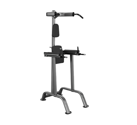 Hudson Steel Vertical Knee Raise